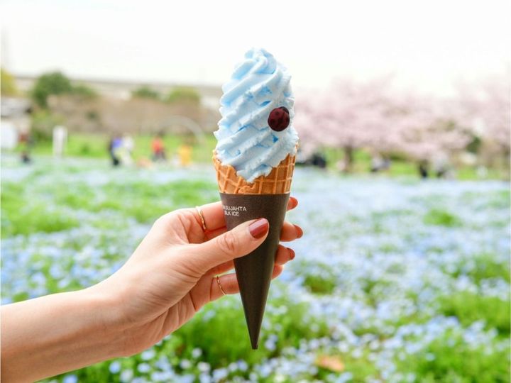 ネモフィラソフト 価格：500円（税込） ネモフィラを模した鮮やかなブルーのソフトクリーム（ソーダ味）。テントウムシの形をしたチョコレートを添えました。