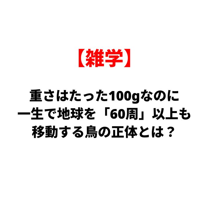 【雑学】体重はたった100gなのに、一生で地球を『60周』以上も移動する鳥の正体とは？