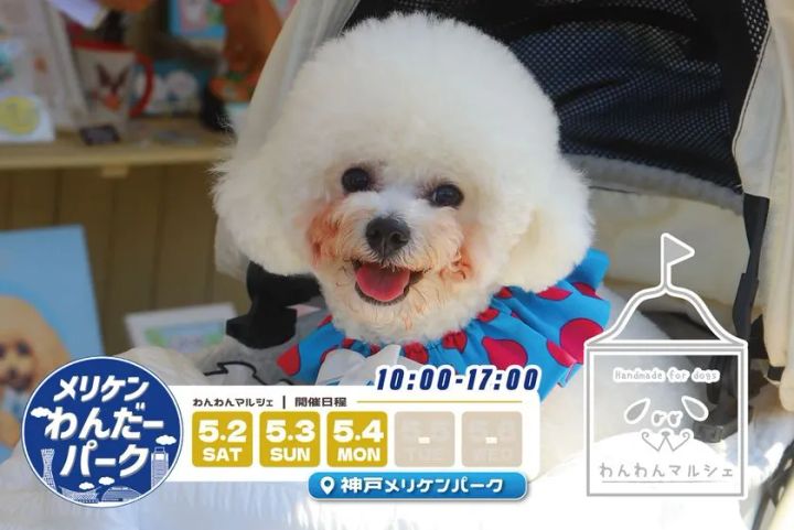 愛犬と買い物を楽しめるわんわんマルシェの様子