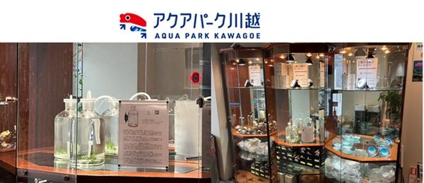 【埼玉県川越市】アクアパーク川越で新感覚アクアインテリア「FUYUSO」販売開始！浮遊する藻類で癒しを