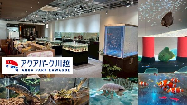 【埼玉県川越市】アクアパーク川越で新感覚アクアインテリア「FUYUSO」販売開始！浮遊する藻類で癒しを