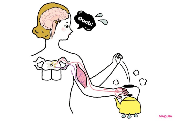 ループメンテ 反射を利用