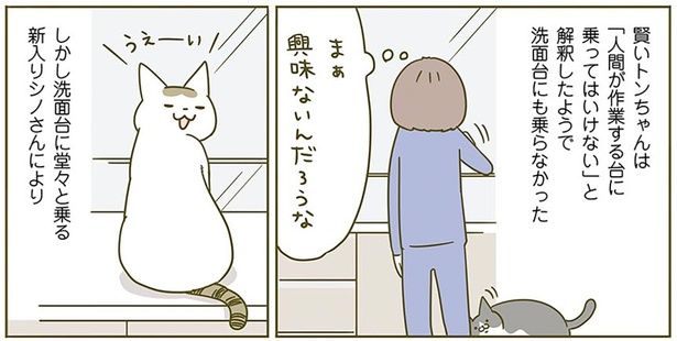 興味ないんだろうな （C）卵山玉子／KADOKAWA