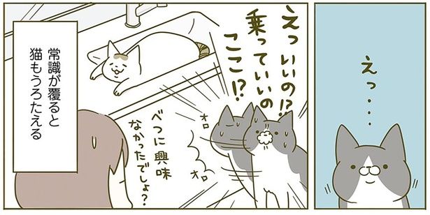 猫もうろたえる （C）卵山玉子／KADOKAWA