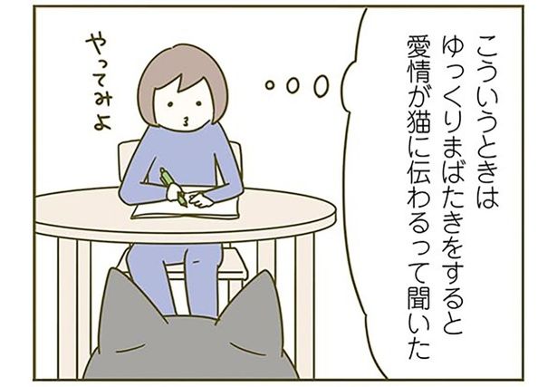 まばたきで愛を伝えたい！ （C）卵山玉子／KADOKAWA