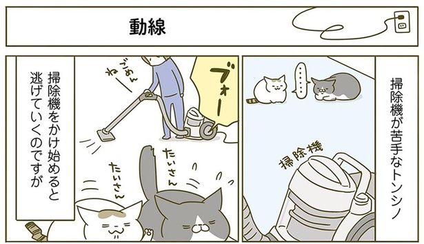 動線 （C）卵山玉子／KADOKAWA