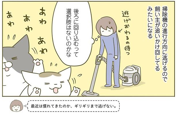 最近は慣れてきたのか… （C）卵山玉子／KADOKAWA