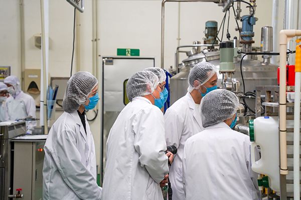 【北海道札幌市・千歳市・東京都大田区】北海道新土産のバームクーヘン「北のシロエ」登場！食べ方で変わる2つの味わい