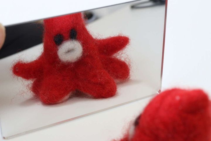 カードミラー クロミ 使用例