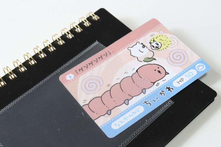 A6 Wリングノート ドット入 表紙ポケット付き 60枚 カード収納