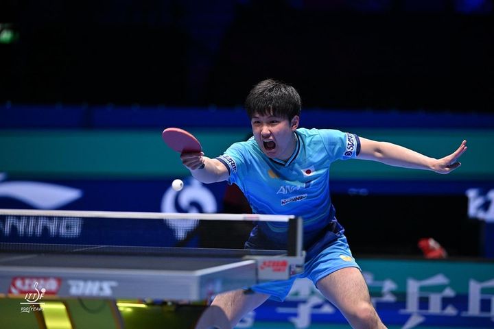 張本智和（C）WTT