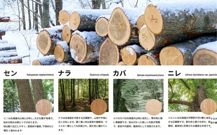 エアー・ウォッシュ・フローリング 銘木フロアーラスティック MEGURIの製品イメージ