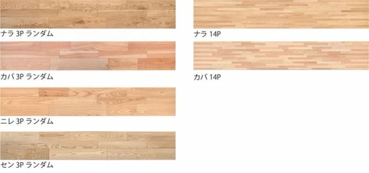 ナラやカバなど6種類のラインナップ