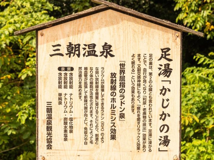 鳥取県三朝町に位置する三朝（みささ）温泉は、開湯850年以上の歴史を誇る名湯です。世界有数のラドン含有量を誇る放射能泉が特徴で、「三たび朝を迎えると元気になる」再生の湯としても知られています。昭和レトロな温泉街の風情も大きな魅力です。