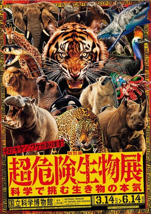 特別展「超危険生物展 科学で挑む生き物の本気」／東京都台東区 画像提供：国立科学博物館