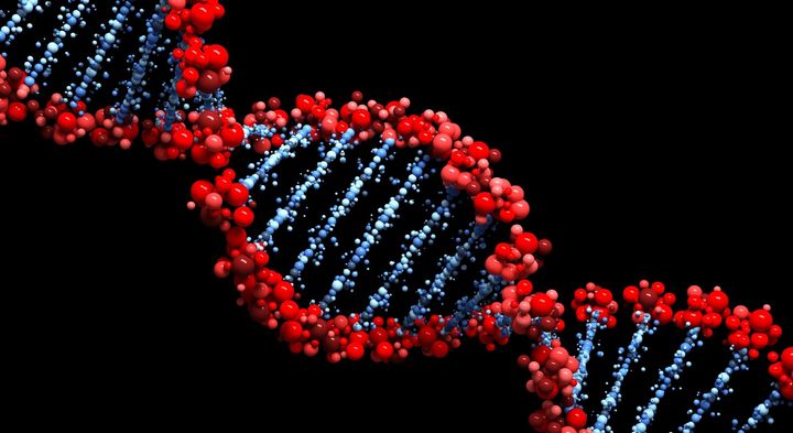 「DNAはお手本を見ながら作る」という生物の大前提が、細菌の中で破られていた――アミノ酸が文字代わりに