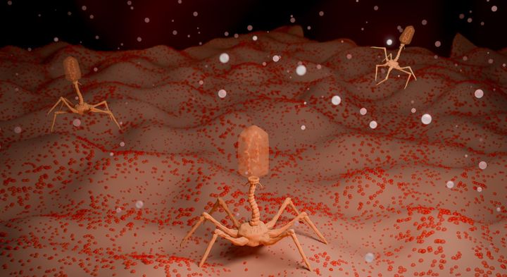 なぜ細菌は、こんな変わった仕組みを身につけたのか