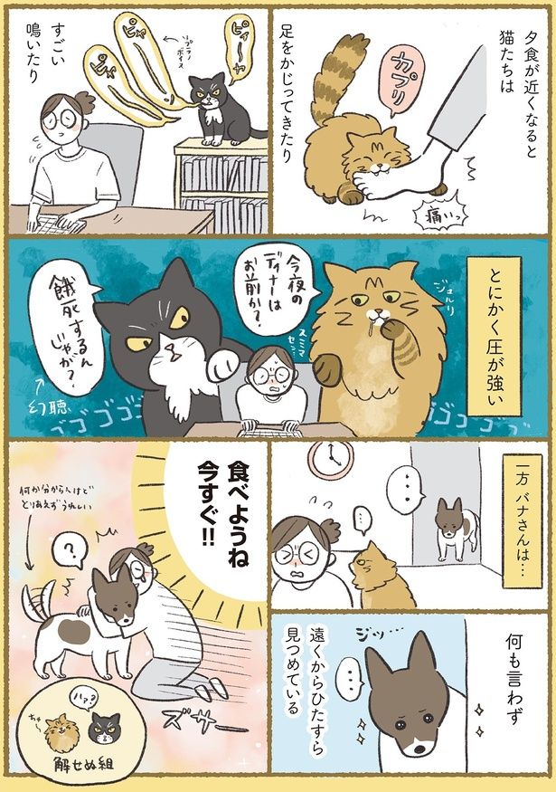 食べようね今すぐ！！ （C）ふじもりはる／KADOKAWA