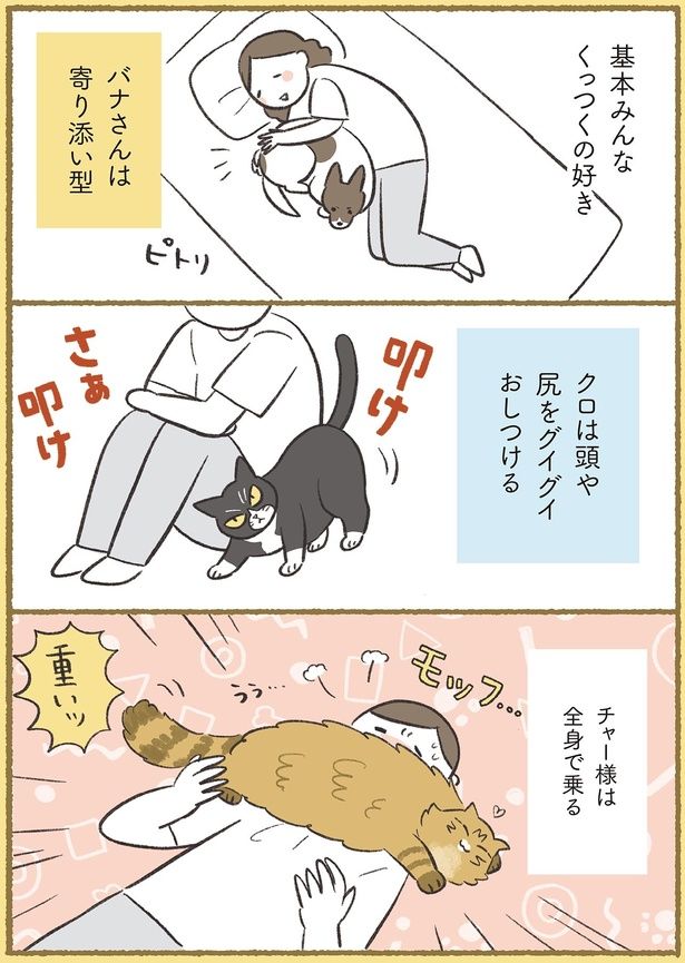 基本みんなくっつくの好き （C）ふじもりはる／KADOKAWA