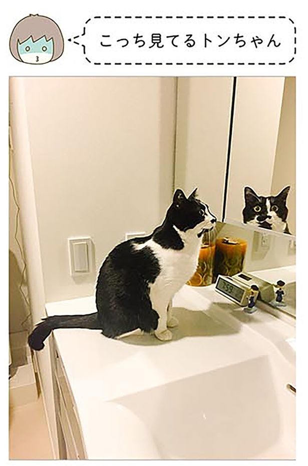 こっちを見てる （C）卵山玉子／KADOKAWA