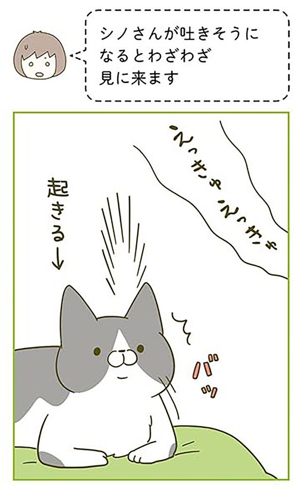 わざわざ見に来ます （C）卵山玉子／KADOKAWA