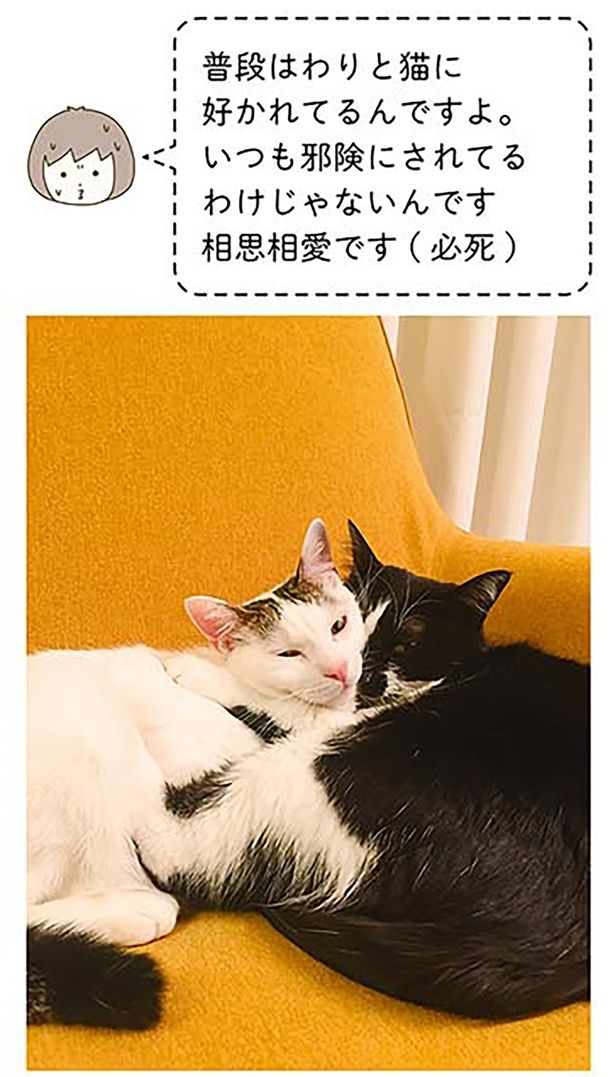 相思相愛です （C）卵山玉子／KADOKAWA