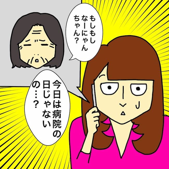 母の認知症介護日記／ワフウフ