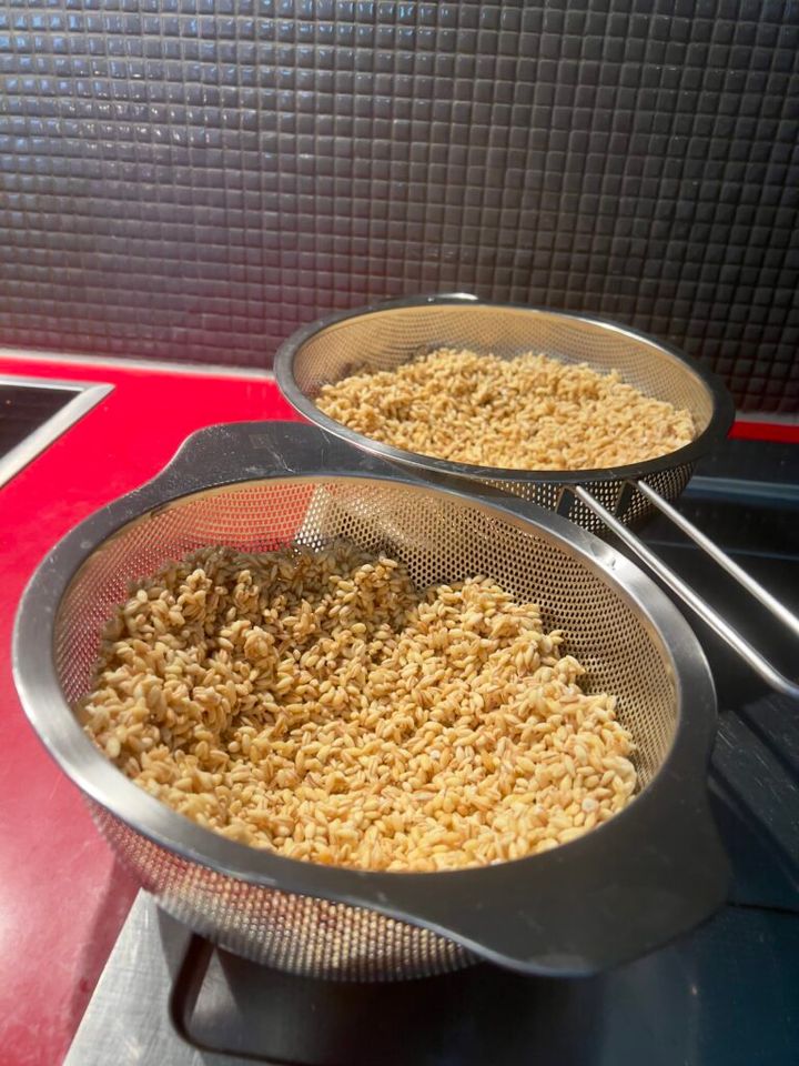 自家製麦麹 麦麹づくり 麹作り 自家製麹