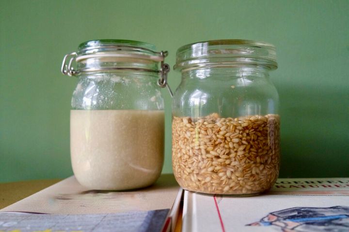 麦麹 自家製麦麹 麦麹づくり 麹作り 自家製麹