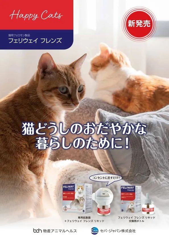猫どうしのおだやかな暮らしのためにと伝えるビジュアル