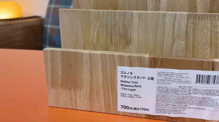 ゴムノキマガジンスタンド