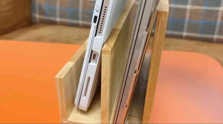 ゴムノキマガジンスタンド