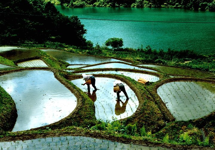 地産地消100％の学校給食──有機農業の現場に迫るドキュメンタリー『身土不二』公開決定