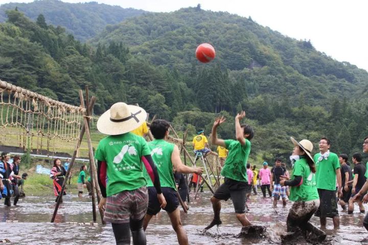 岐阜県郡上市の有機農場にある田んぼの大会会場