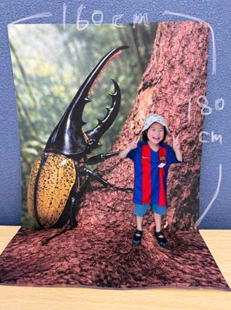 【大阪府大阪市】ヘラクレスも登場！資源循環を学べる体験型昆虫イベント「凄いぞカブクワ展」GWに開催