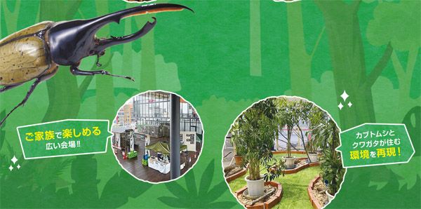 【大阪府大阪市】ヘラクレスも登場！資源循環を学べる体験型昆虫イベント「凄いぞカブクワ展」GWに開催