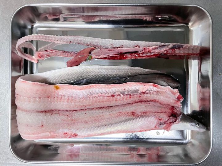 珍しいうなぎの開き。骨や肝もセット。