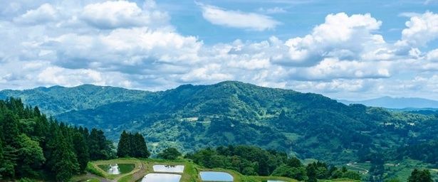 新潟の食文化は、この雄大な自然の恵みによって形づくられてきた