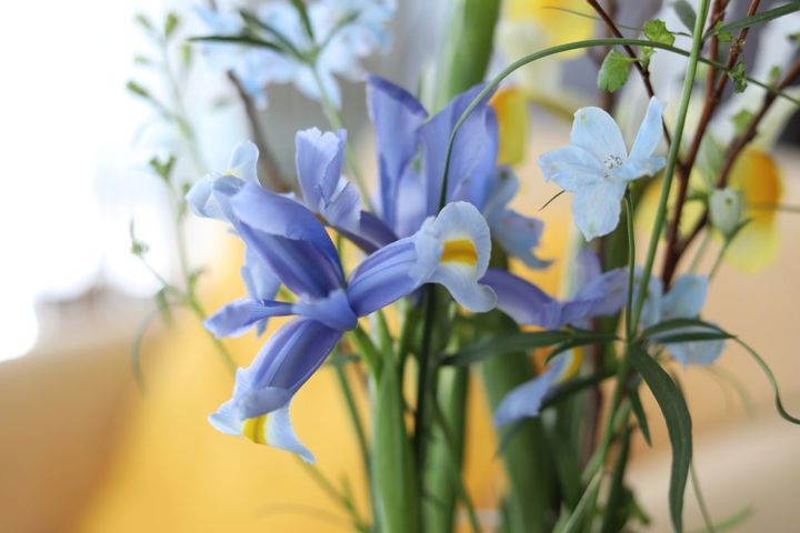 ラークスパーを入れる