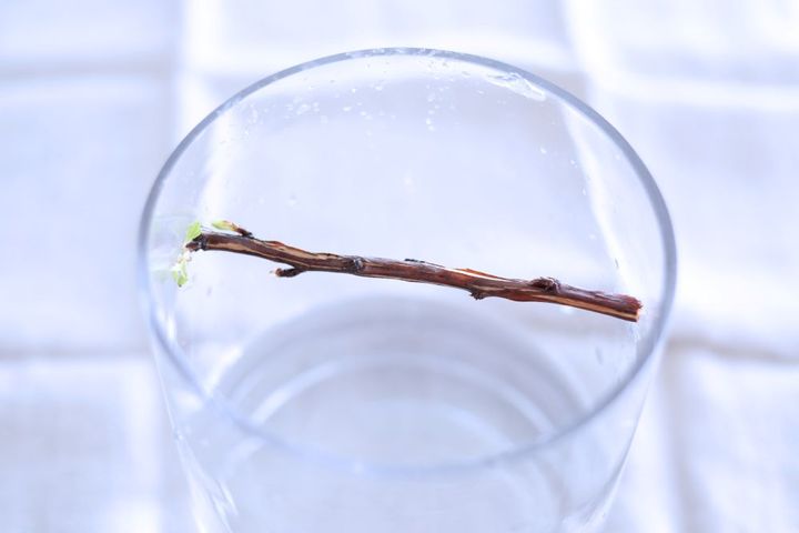 小枝を渡した花留め