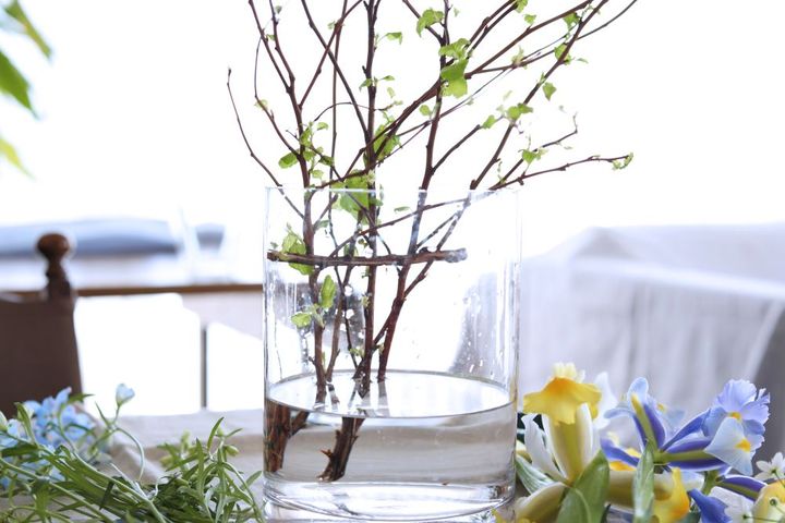 キンバデマリの枝を入れる