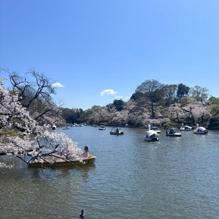 美味しいパンで心のリフレッシュを