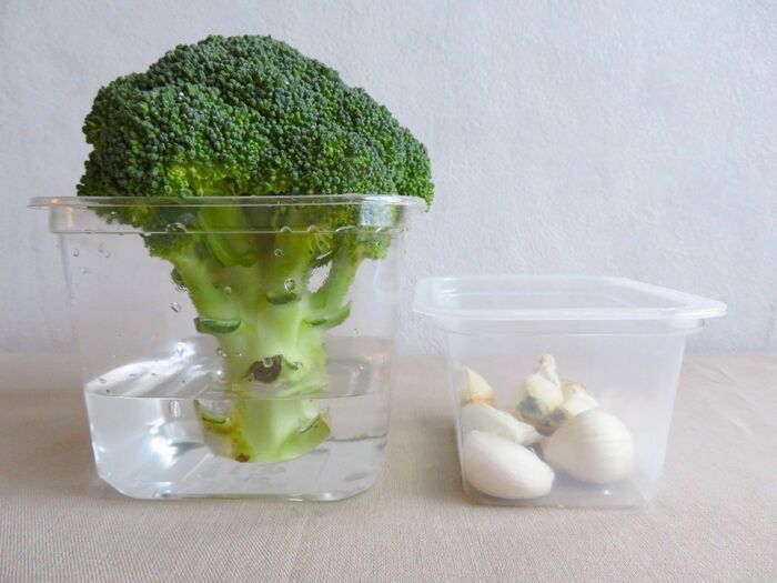 味噌の「空き容器」めっちゃ万能じゃん…！キッチンや水回り収納に大活躍でした♪