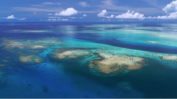 池間島の北東に広がる「八重干瀬」 (C)OPG／(C)Okinawa Prefectural Government／(C)沖縄県