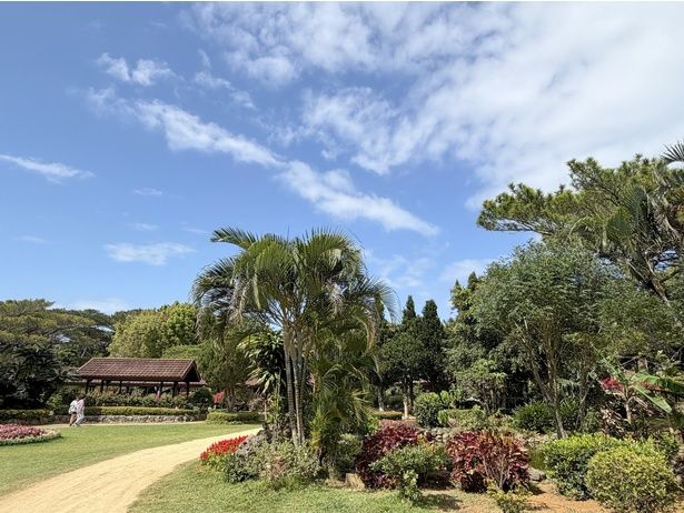 「宮古島市体験工芸村」がある宮古市熱帯植物園。散策もおすすめ