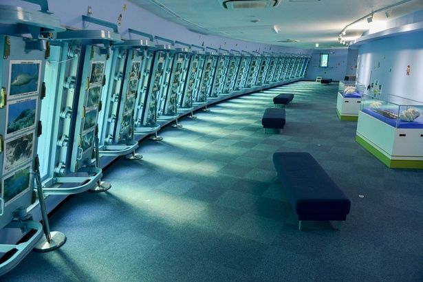 「宮古島海中公園」は子どもから大人まで楽しめる観光スポット (C)OCVB