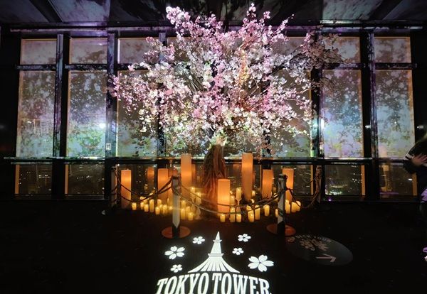 【東京都港区】東京タワーで、333匹の鯉のぼりが泳ぐ景色と夜桜のプロジェクションマッピングを堪能