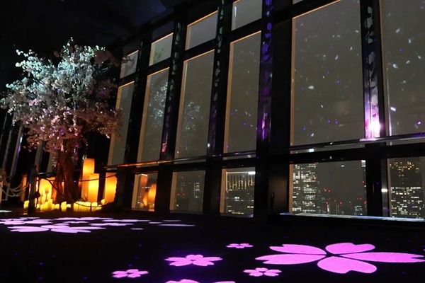 【東京都港区】東京タワーで、333匹の鯉のぼりが泳ぐ景色と夜桜のプロジェクションマッピングを堪能