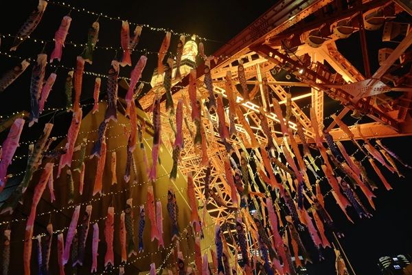 【東京都港区】東京タワーで、333匹の鯉のぼりが泳ぐ景色と夜桜のプロジェクションマッピングを堪能
