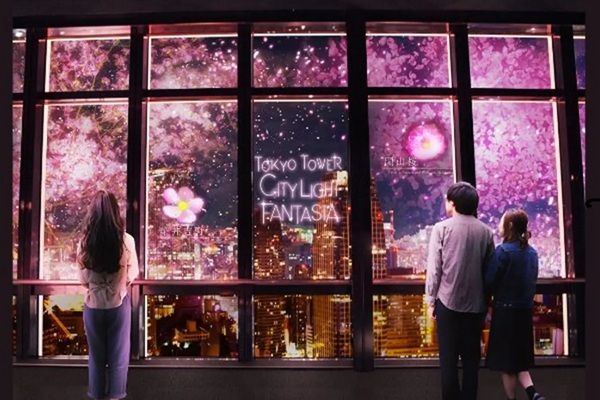 【東京都港区】東京タワーで、333匹の鯉のぼりが泳ぐ景色と夜桜のプロジェクションマッピングを堪能